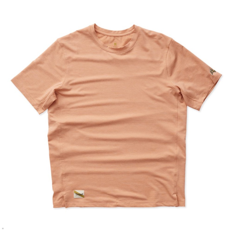 Tracksmith Session Muted Clay USA | FQR-098361