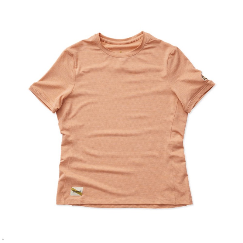 Tracksmith Session Muted Clay USA | TOQ-972053