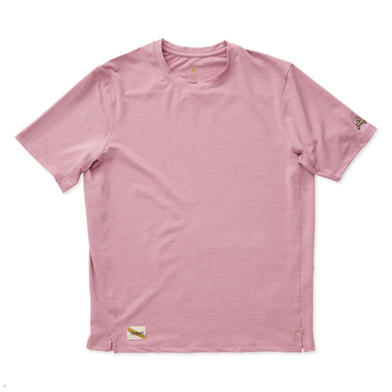 Tracksmith Session Rose USA | AED-240356