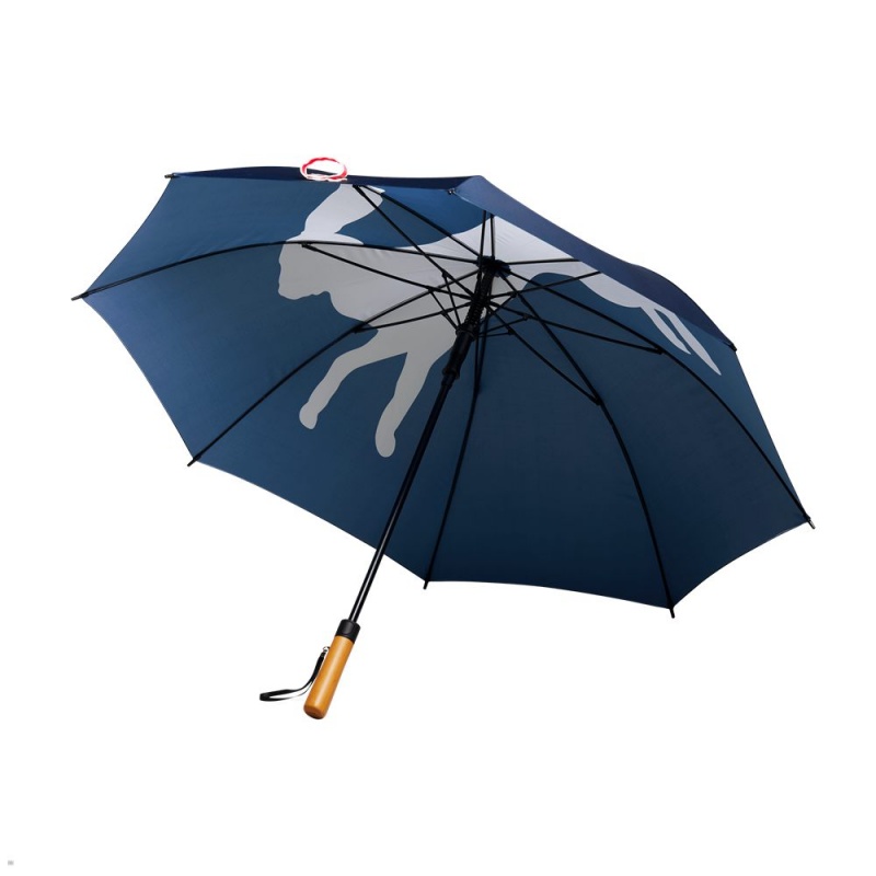 Tracksmith Umbrella Blue USA | XVD-970143